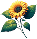 amorfati.app